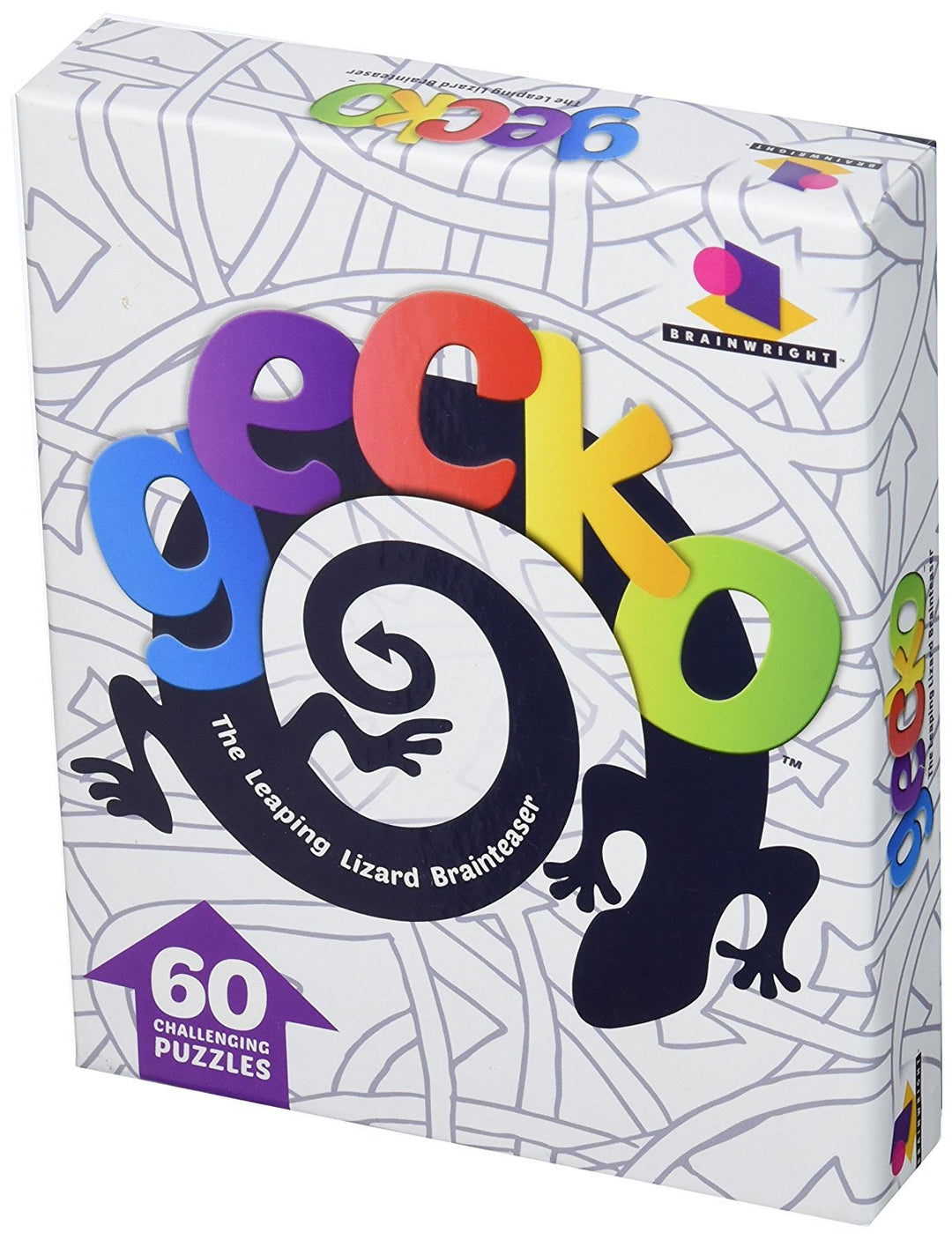Gecko Brainteaser Puzzle
