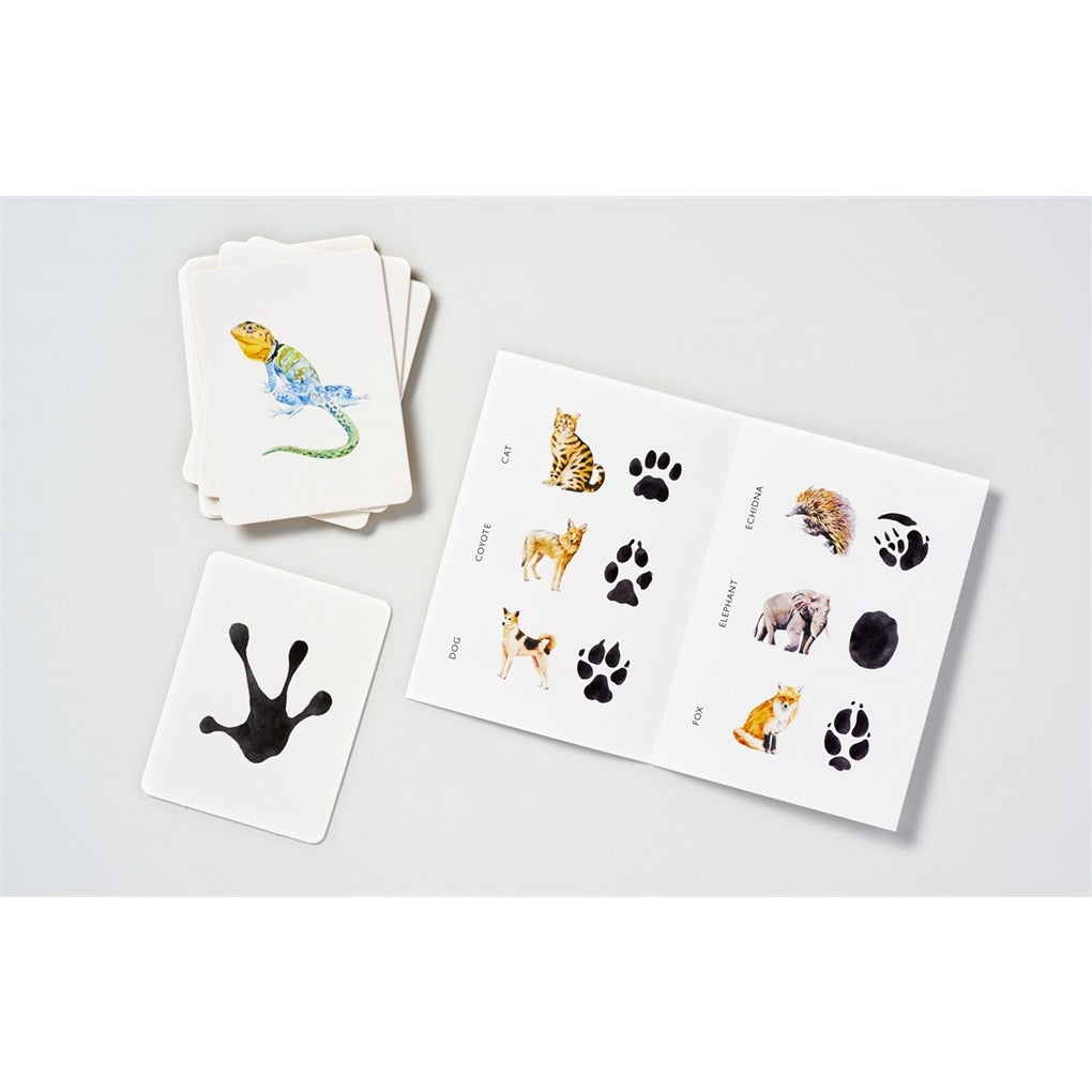 Match a Track - Matching Game | MindConnect Australia
