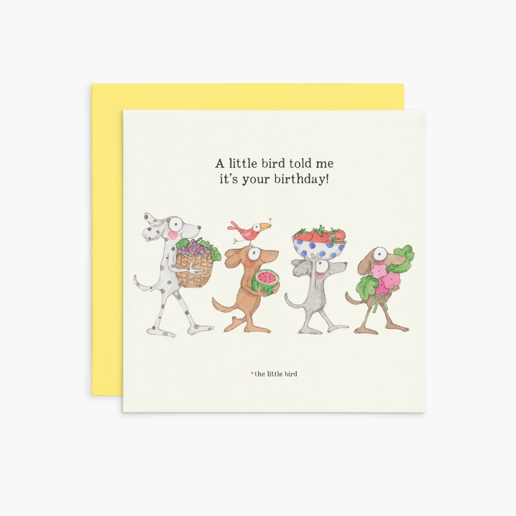 Twigseeds Birthday Card - A Little Bird