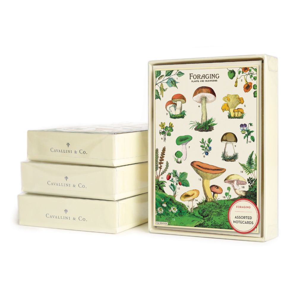 Cavallini Boxed Notecards – Foraging