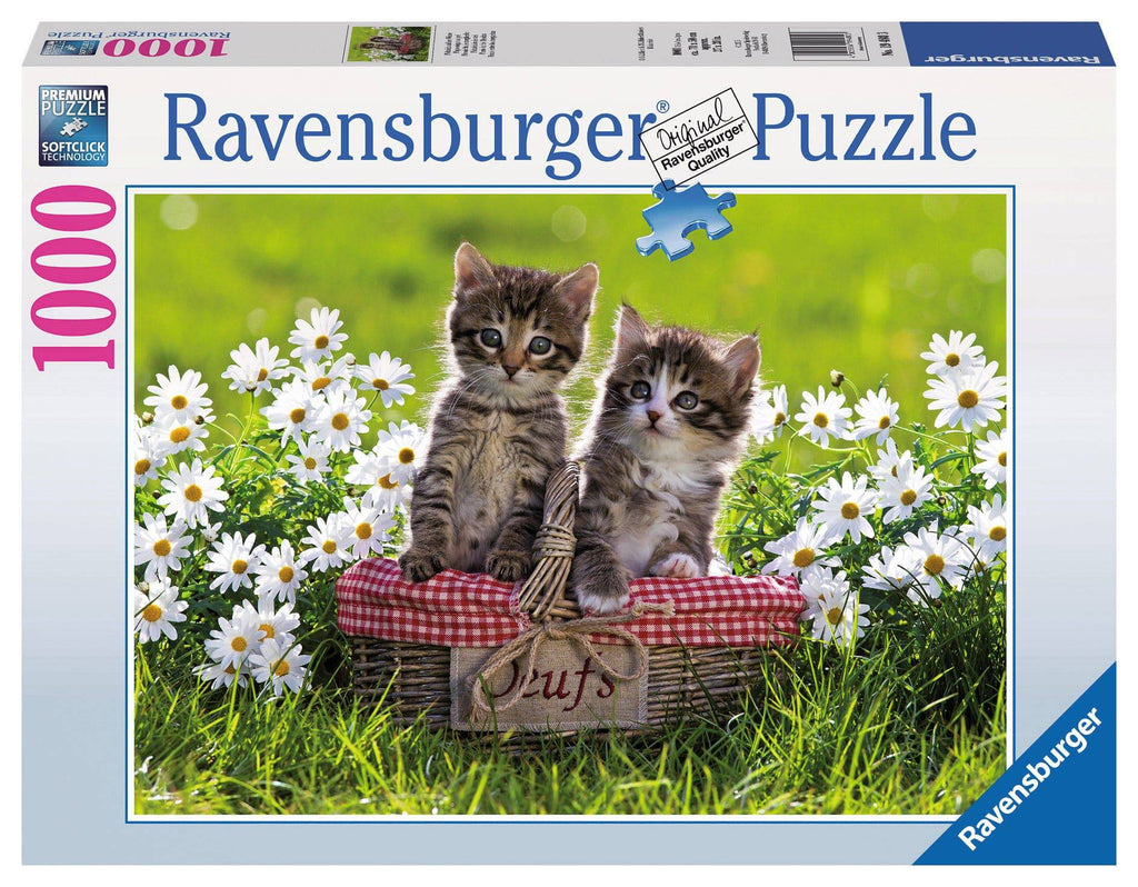 Ravensburger Jigsaw Puzzle 1000 Piece - Picnic in the Meadow Puzzle 1000pc