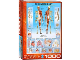 Eurographics 1000 Piece Jigsaw - The Human Body