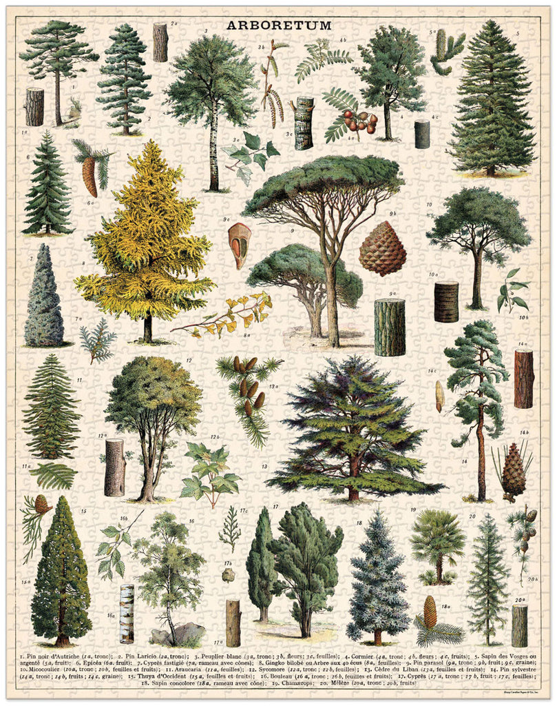 Cavallini & Co Jigsaw Puzzle 1000 Piece - Arboretum | MindConnect Australia