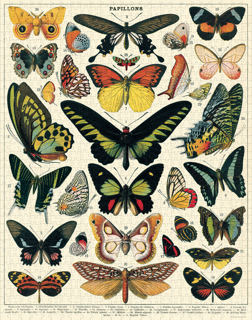 Cavallini & Co Jigsaw Puzzle 1000 Piece - Butterflies | MindConnect Australia