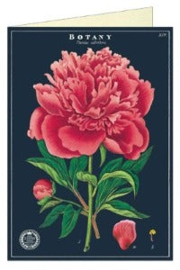 Greeting Card Cavallini and Co - Botany