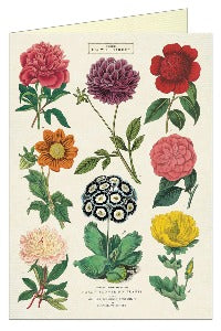 Greeting Card Cavallini and Co - Botanica