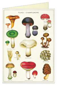 Greeting Card Cavallini and Co - Mushrooms (Fungi)