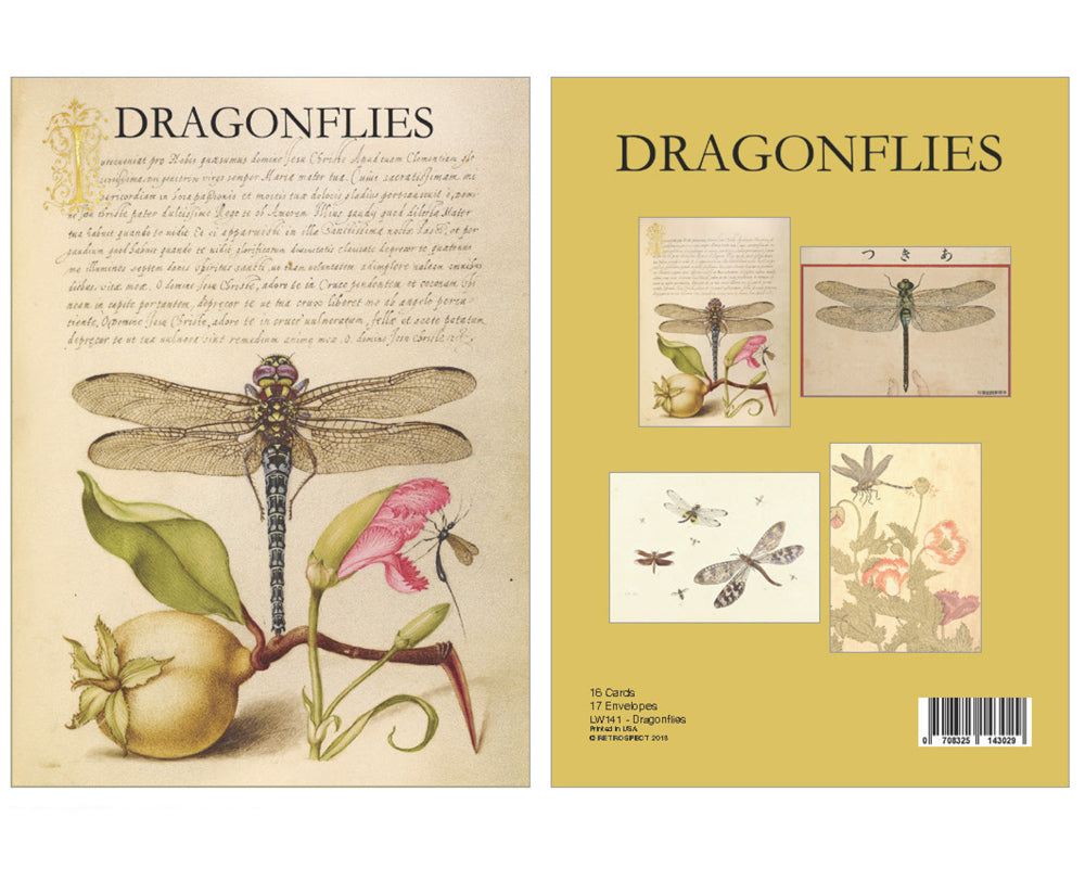 Retrospect Boxed Notecards – Dragonflies