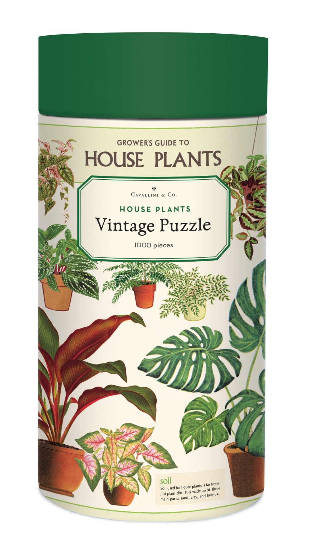 Cavallini & Co Jigsaw Puzzle 1000 Piece - House Plants