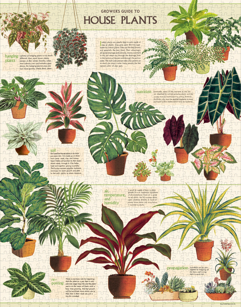 Cavallini & Co Jigsaw Puzzle 1000 Piece - House Plants | MindConnect Australia