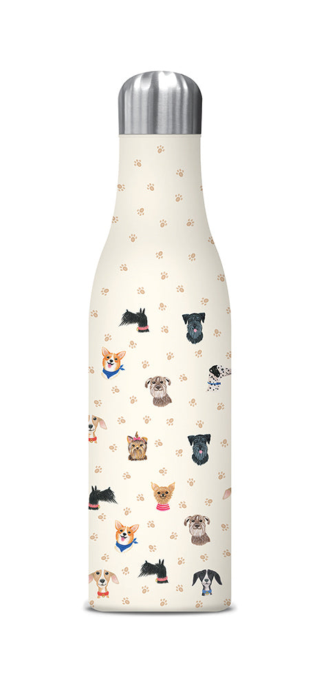 Studio Oh Water Bottle - Doggone Cute