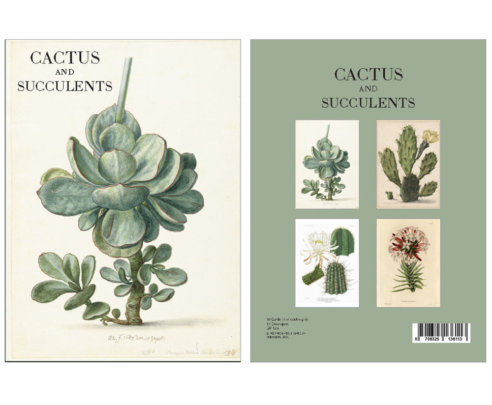 Retrospect Boxed Notecards – Succulents