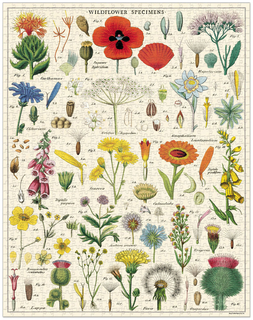 Cavallini & Co Jigsaw Puzzle 1000 Piece - Wildflowers | MindConnect Australia