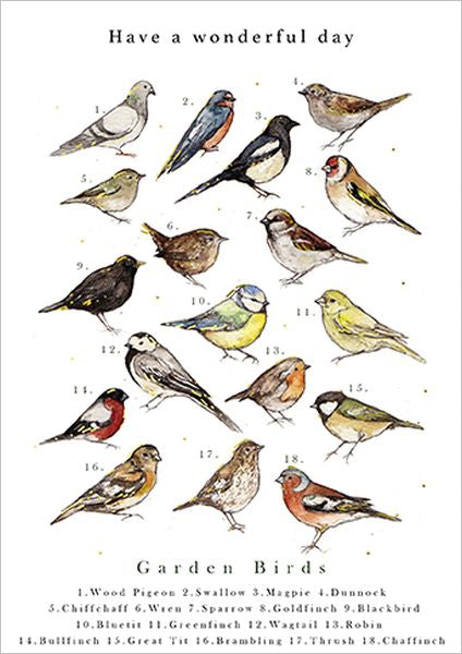 Greeting Card - Garden Bird Chart