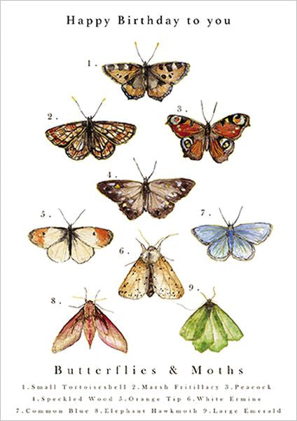 Greeting Card - Butterfly Chart